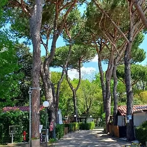 Campeggio Linus Italia